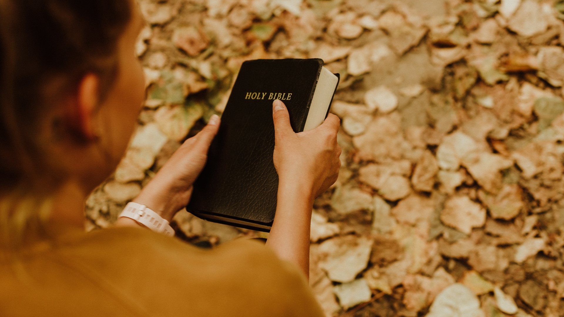 Read more about the article Preeminence of Christ