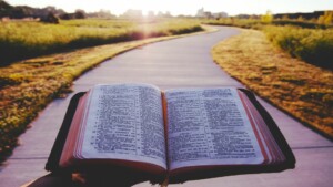 Read more about the article The Doctrine of the Scriptures