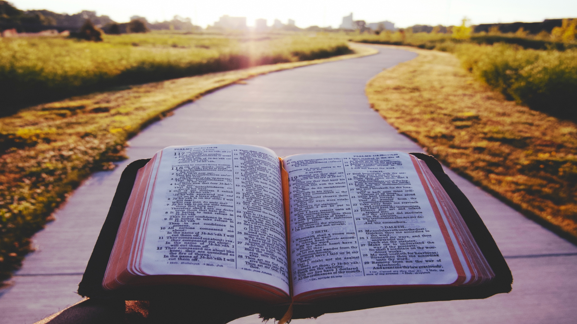 You are currently viewing The Doctrine of the Scriptures