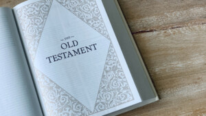 Read more about the article Old Testament Survey
